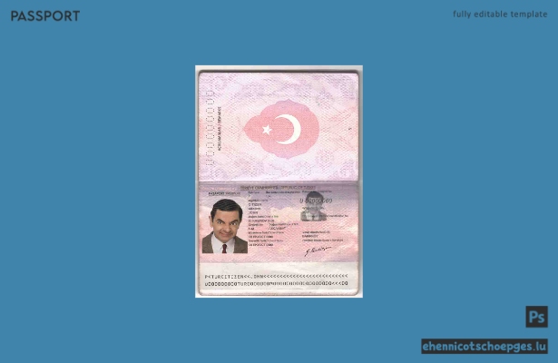 Vorschau eines alten türkischen Reisepasses